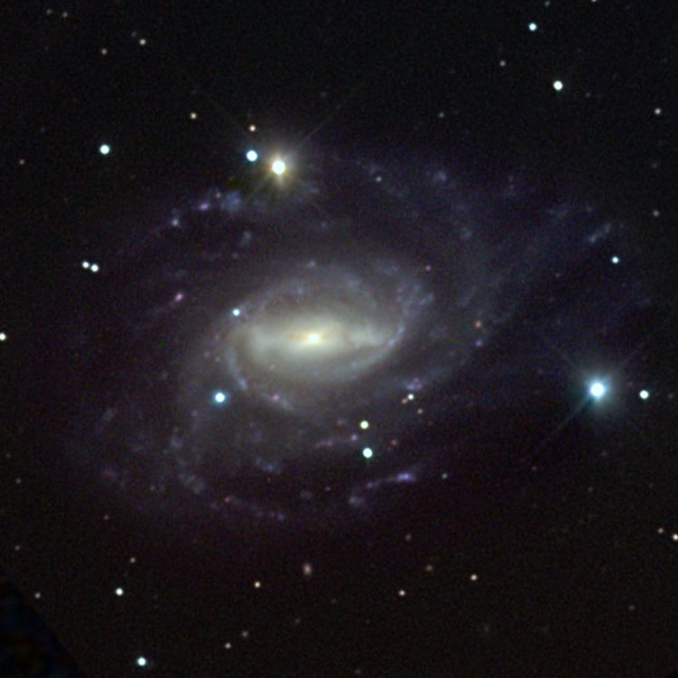 NGC 1784
