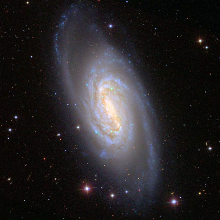 NGC 2905