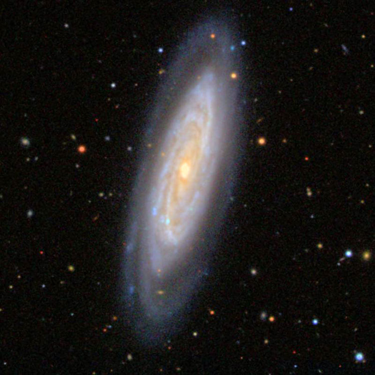 NGC 4100